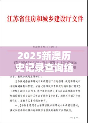 2025新澳历史记录查询结果或新奥2025年天天开好彩，效果解读、专家解析解释与落实
