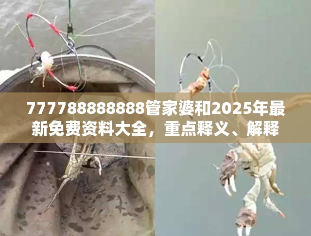 777788888888管家婆和2025年最新免费资料大全，重点释义、解释与落实,警惕不实的钓鱼钩