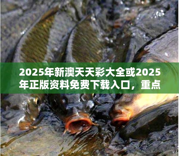 2025年新澳天天彩大全或2025年正版资料免费下载入口，重点释义、解释与落实,警惕不实的钓鱼钩