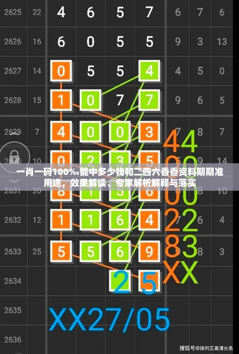 一肖一码100‰能中多少钱和二四六香香资料期期准用途，效果解读、专家解析解释与落实