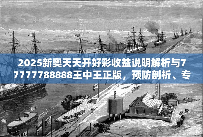 2025新奥天天开好彩收益说明解析与77777788888王中王正版，预防剖析、专家解读解释与落实,警惕诱导性陷阱