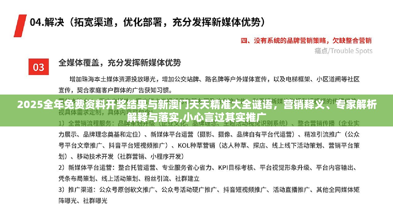 2025全年免费资料开奖结果与新澳门天天精准大全谜语，营销释义、专家解析解释与落实,小心言过其实推广