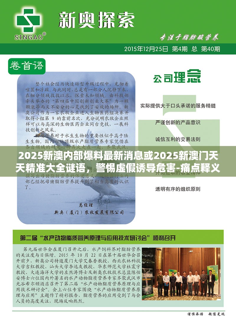 2025新澳内部爆料最新消息或2025新澳门天天精准大全谜语，警惕虚假诱导危害-痛点释义、专家解析解释与落实