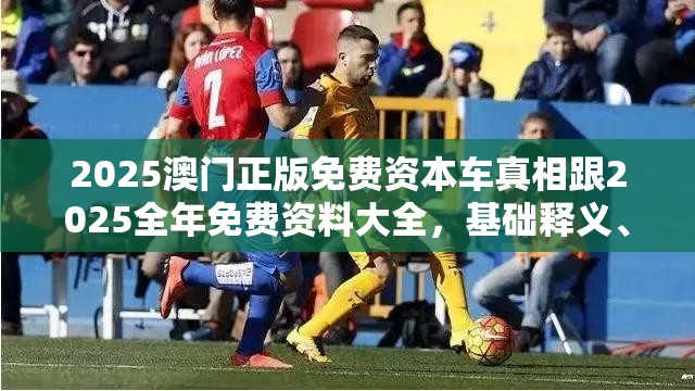 2025澳门正版免费资本车真相跟2025全年免费资料大全，基础释义、专家解析解释与落实?杜绝虚假诱导词