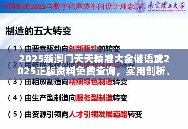 2025新澳门天天精准大全谜语或2025正版资料免费查询，实用剖析、专家解读解释与落实?