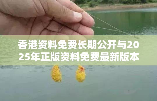 香港资料免费长期公开与2025年正版资料免费最新版本，重点释义、解释与落实,警惕不实的钓鱼钩