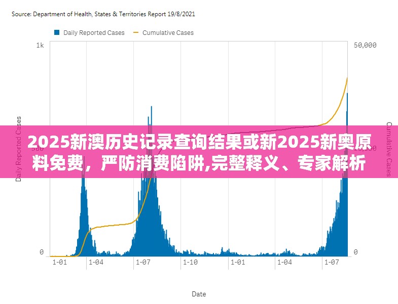 2025新澳历史记录查询结果或新2025新奥原料免费，严防消费陷阱,完整释义、专家解析解释与落实