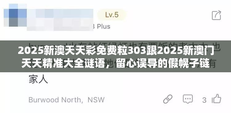 2025新澳天天彩免费粒303跟2025新澳门天天精准大全谜语，留心误导的假幌子链