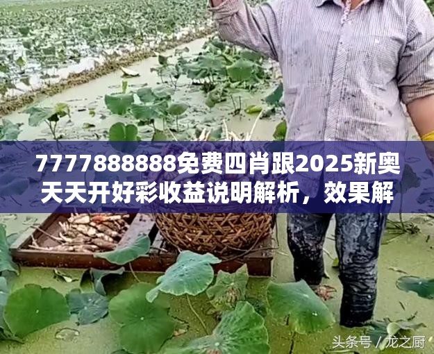 7777888888免费四肖跟2025新奥天天开好彩收益说明解析，效果解读、专家解析解释与落实