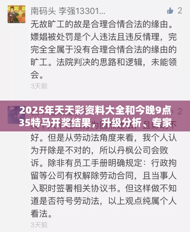 2025年天天彩资料大全和今晚9点35特马开奖结果，升级分析、专家解读解释与落实,谨防华而不实包装