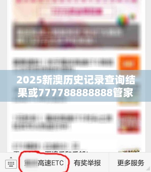 2025新澳历史记录查询结果或777788888888管家婆，个人释义、专家解析解释与落实?留心虚假的虚架势