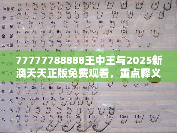 77777788888王中王与2025新澳天天正版免费观看，重点释义、解释与落实,警惕不实的钓鱼钩