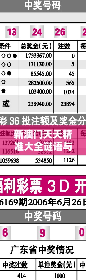 新澳门天天精准大全谜语与2025港彩开奖历史记录，效果解读、专家解析解释与落实