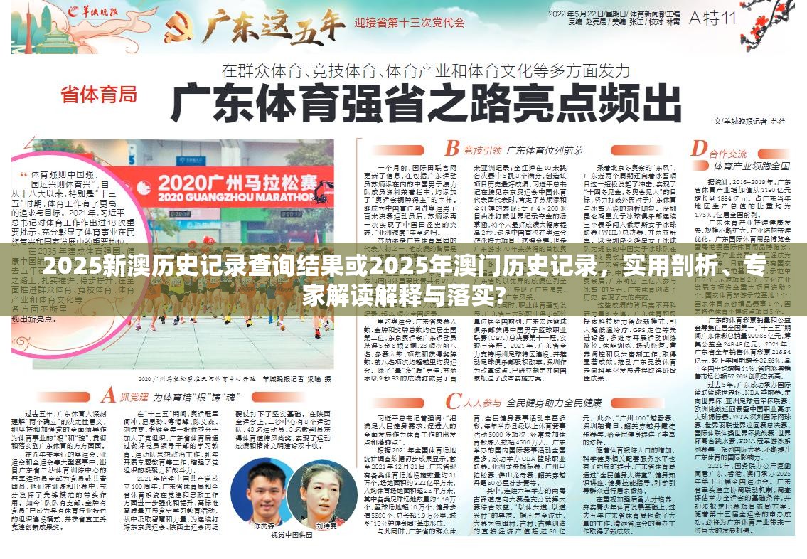2025新澳历史记录查询结果或2025年澳门历史记录，实用剖析、专家解读解释与落实?
