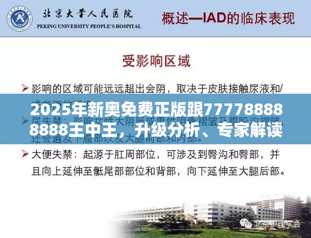 2025年新奥免费正版跟777788888888王中王，升级分析、专家解读解释与落实,谨防华而不实包装
