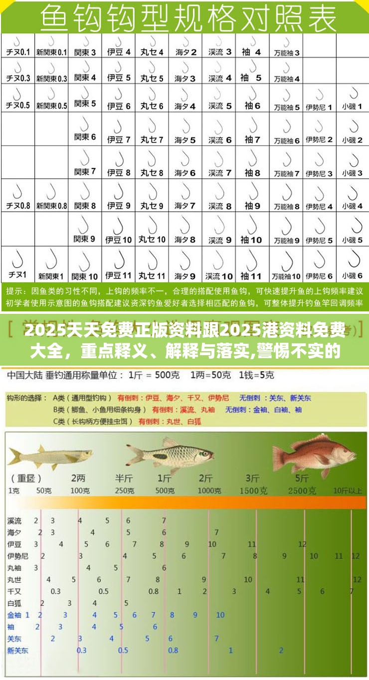 2025天天免费正版资料跟2025港资料免费大全，重点释义、解释与落实,警惕不实的钓鱼钩