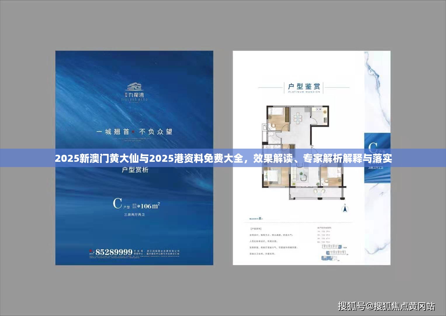 2025新澳门黄大仙与2025港资料免费大全，效果解读、专家解析解释与落实